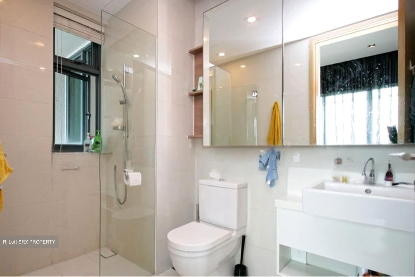 Soleil @ Sinaran (D11), Condominium #579174411